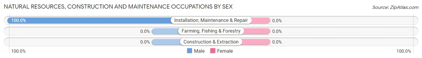 Natural Resources, Construction and Maintenance Occupations by Sex in Carlls Corner