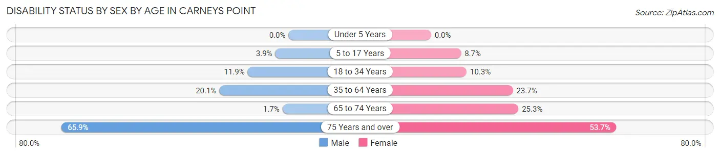 Disability Status by Sex by Age in Carneys Point