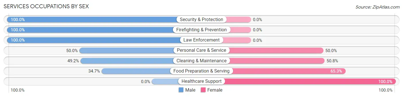 Services Occupations by Sex in Carneys Point