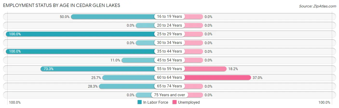 Employment Status by Age in Cedar Glen Lakes