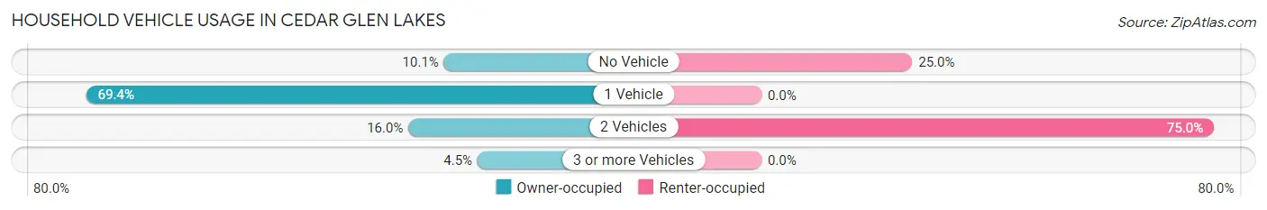 Household Vehicle Usage in Cedar Glen Lakes