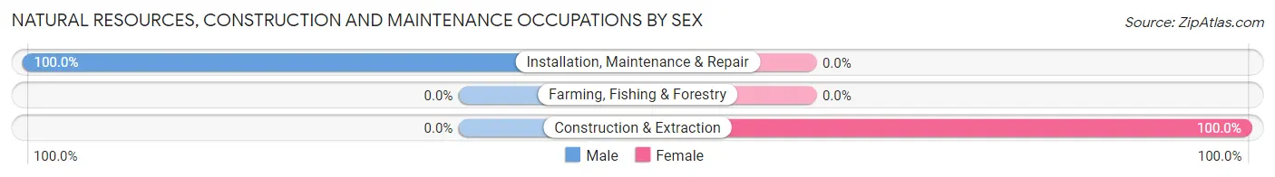Natural Resources, Construction and Maintenance Occupations by Sex in Cedar Glen Lakes