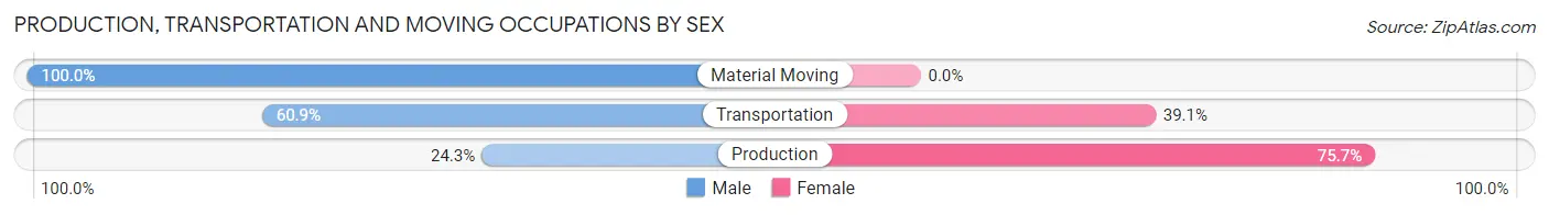 Production, Transportation and Moving Occupations by Sex in Cedar Glen Lakes
