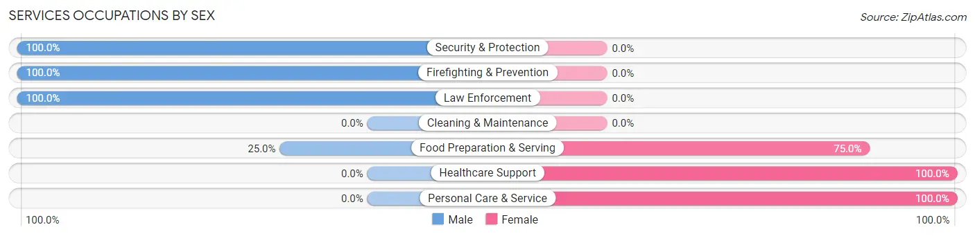 Services Occupations by Sex in Chatham borough