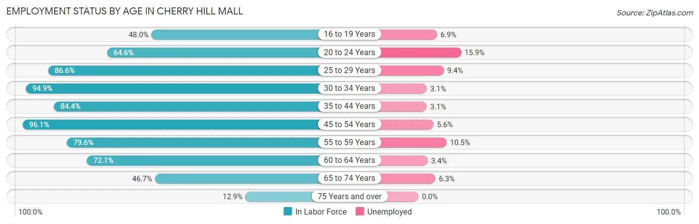 Employment Status by Age in Cherry Hill Mall