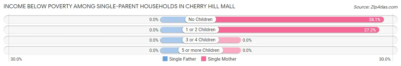 Income Below Poverty Among Single-Parent Households in Cherry Hill Mall