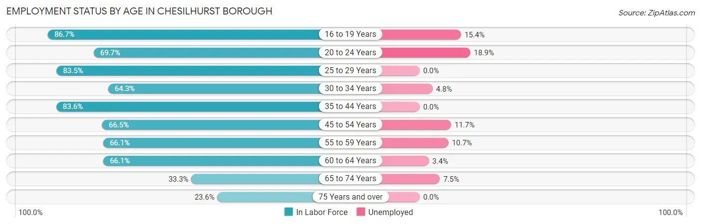 Employment Status by Age in Chesilhurst borough