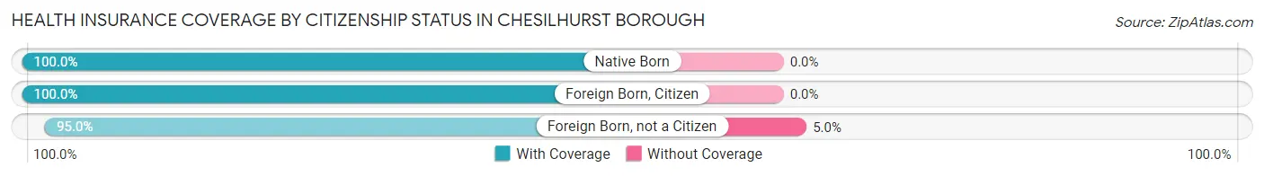Health Insurance Coverage by Citizenship Status in Chesilhurst borough