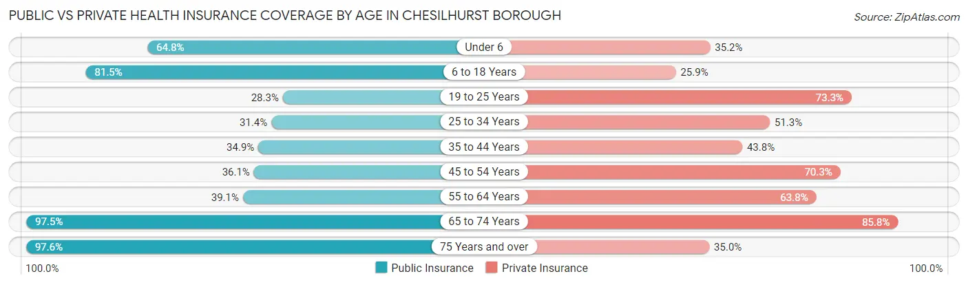 Public vs Private Health Insurance Coverage by Age in Chesilhurst borough