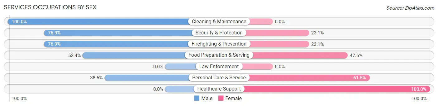 Services Occupations by Sex in Chesilhurst borough