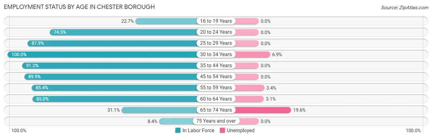 Employment Status by Age in Chester borough