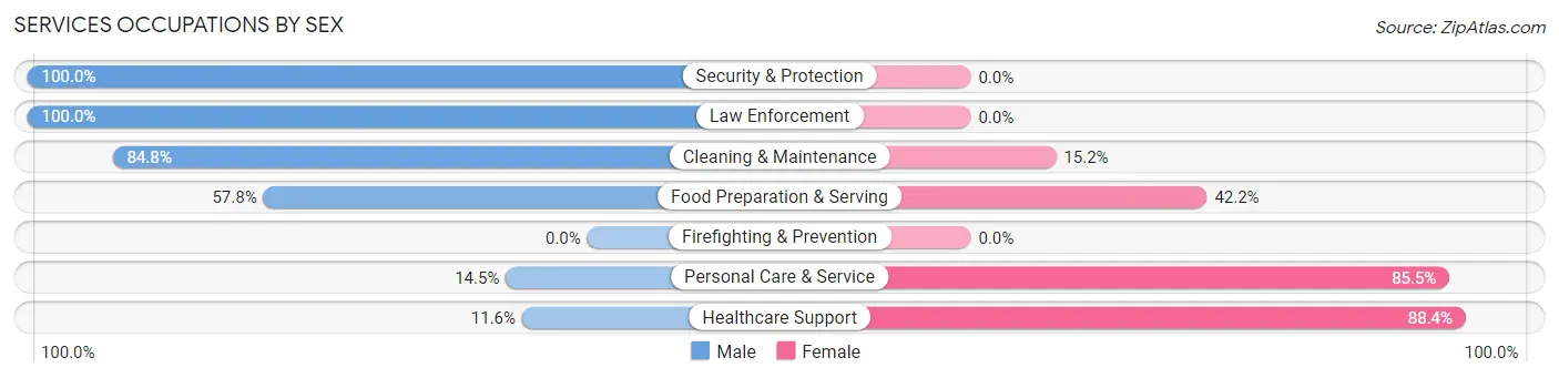 Services Occupations by Sex in Collingswood borough