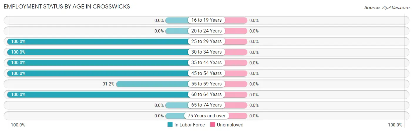 Employment Status by Age in Crosswicks