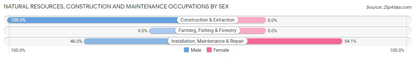 Natural Resources, Construction and Maintenance Occupations by Sex in Dennisville