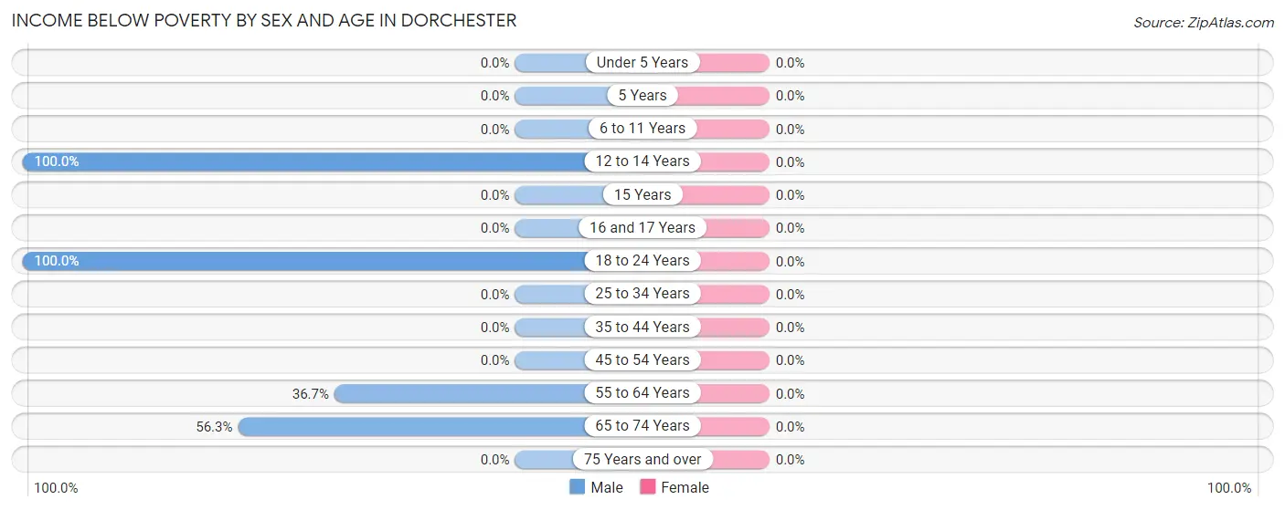 Income Below Poverty by Sex and Age in Dorchester