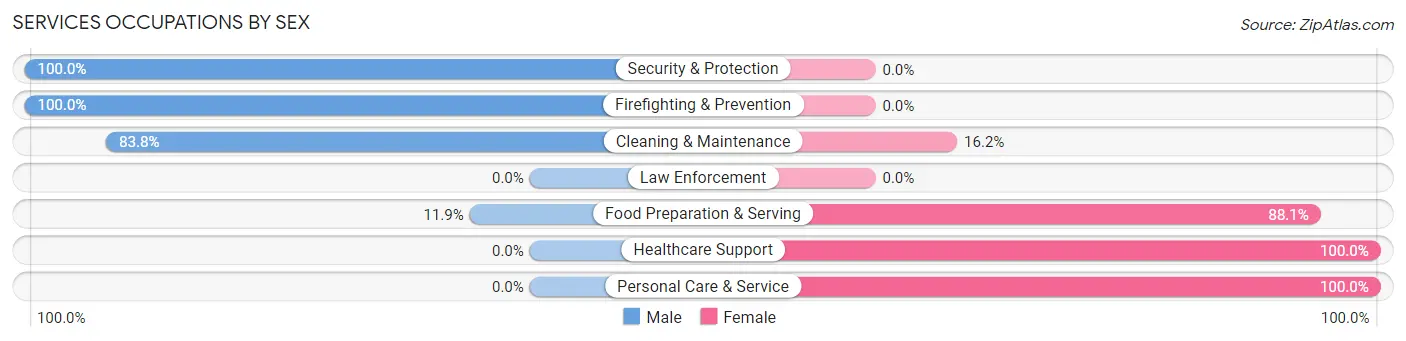 Services Occupations by Sex in Dunellen borough