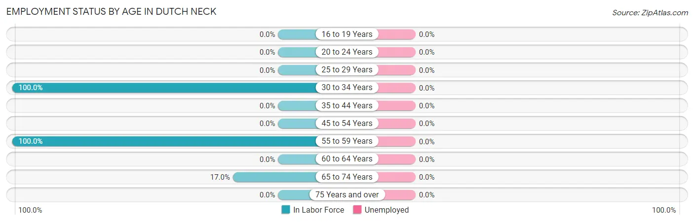 Employment Status by Age in Dutch Neck