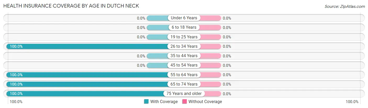 Health Insurance Coverage by Age in Dutch Neck