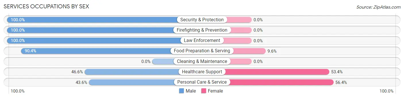 Services Occupations by Sex in East Freehold