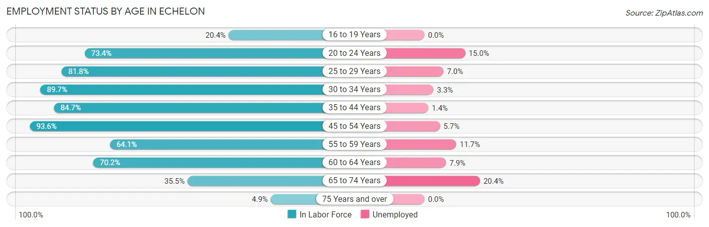 Employment Status by Age in Echelon