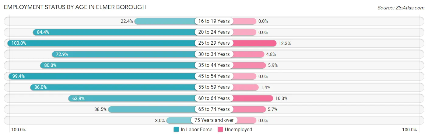 Employment Status by Age in Elmer borough