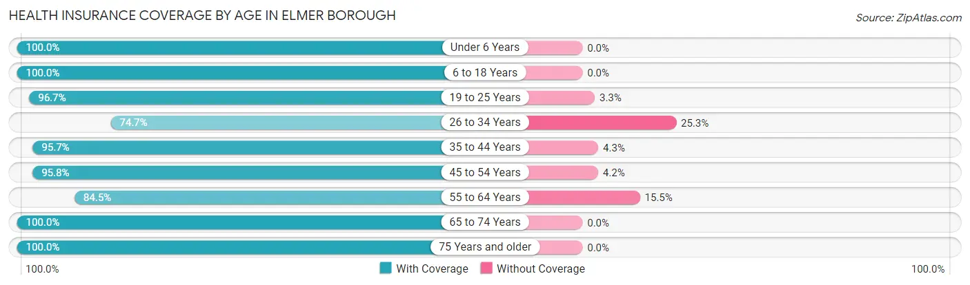 Health Insurance Coverage by Age in Elmer borough
