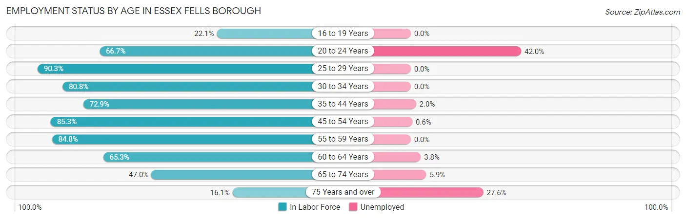 Employment Status by Age in Essex Fells borough
