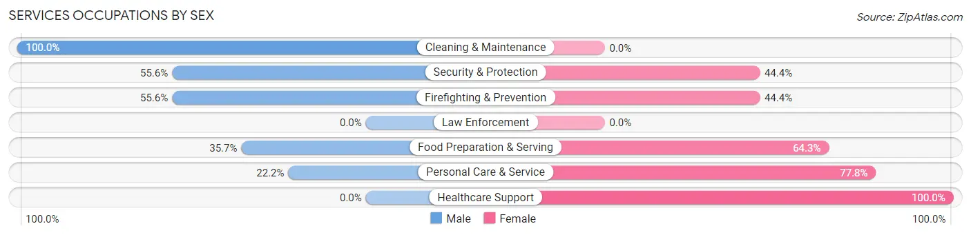 Services Occupations by Sex in Far Hills borough