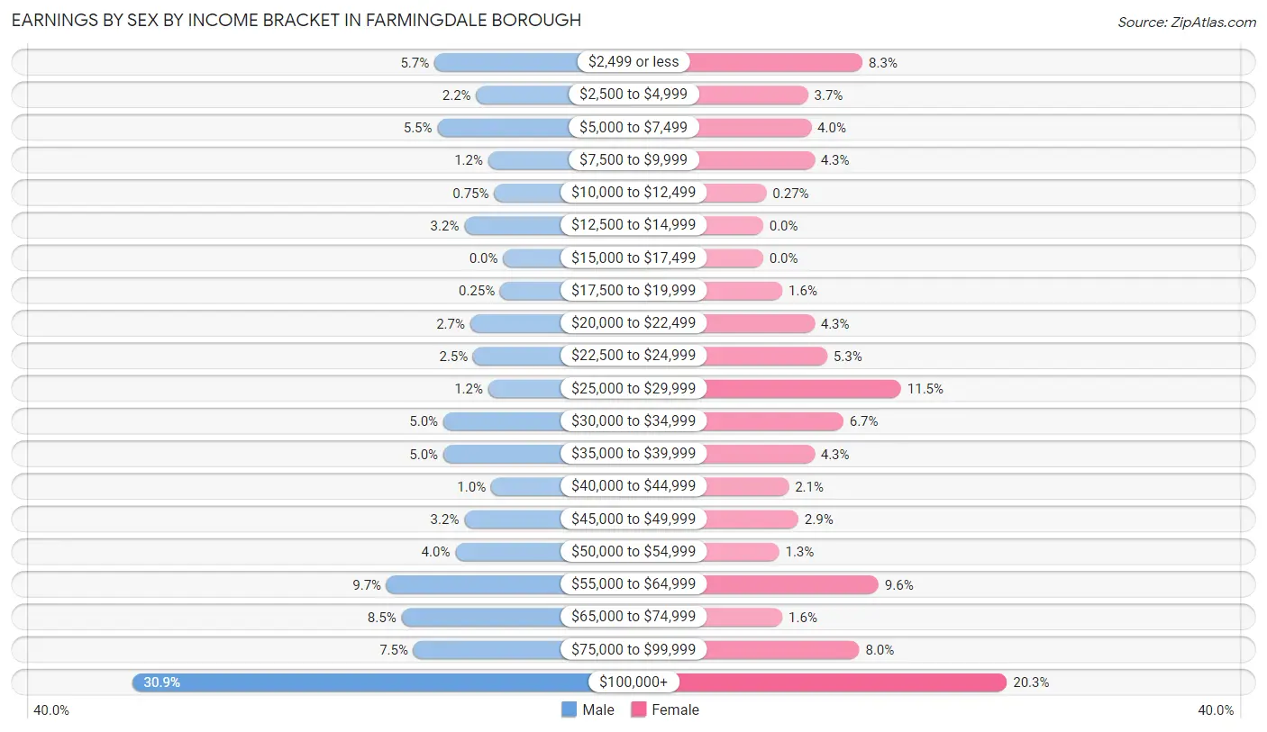 Earnings by Sex by Income Bracket in Farmingdale borough