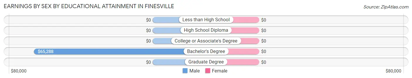Earnings by Sex by Educational Attainment in Finesville
