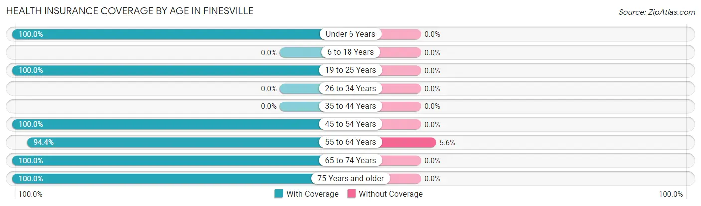 Health Insurance Coverage by Age in Finesville