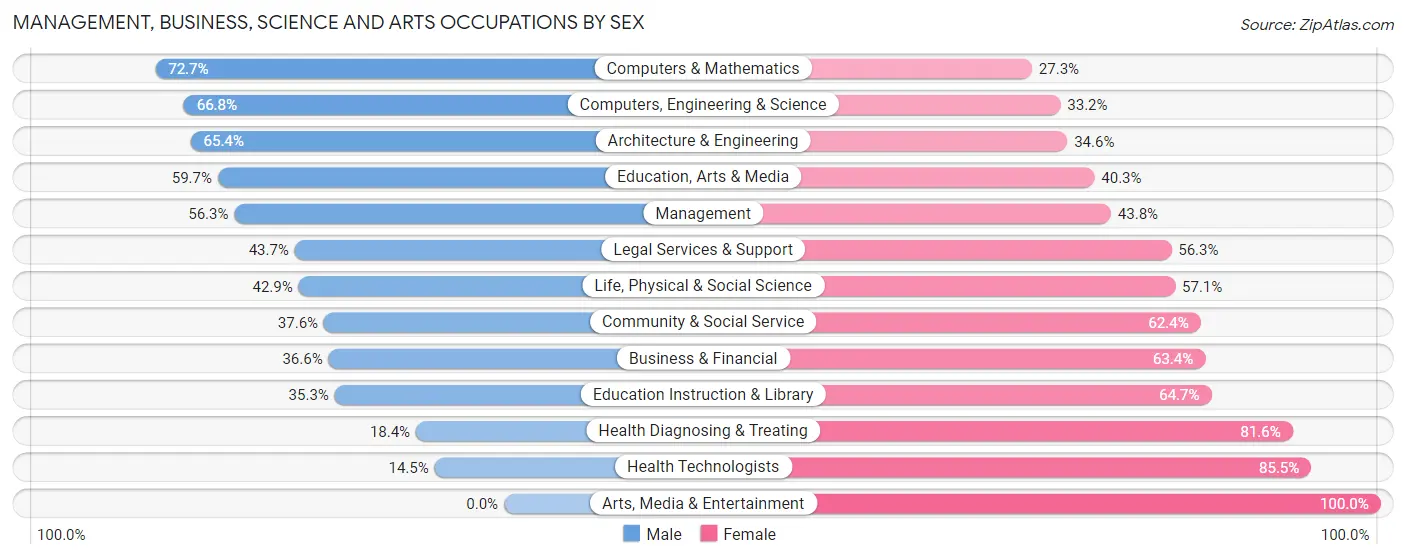 Management, Business, Science and Arts Occupations by Sex in Fords
