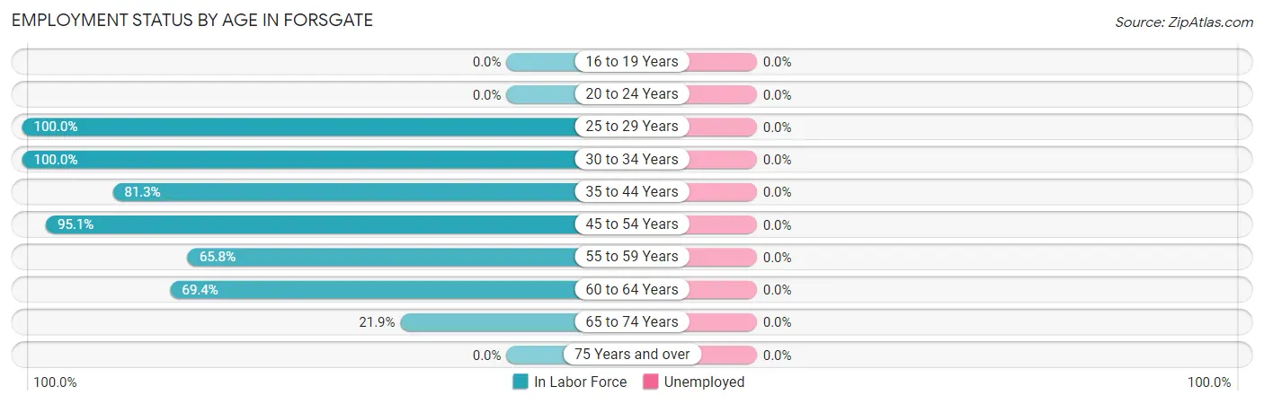 Employment Status by Age in Forsgate