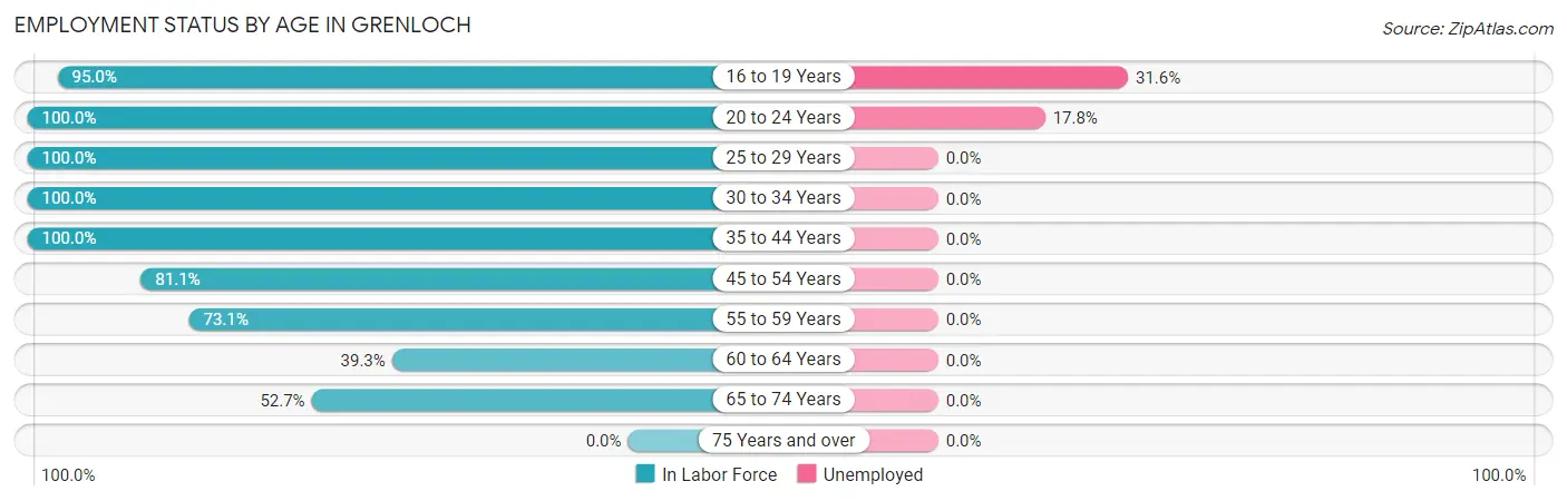 Employment Status by Age in Grenloch