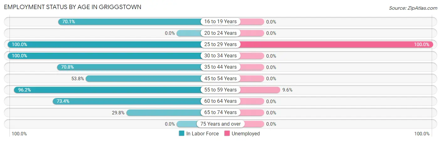 Employment Status by Age in Griggstown
