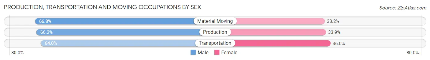 Production, Transportation and Moving Occupations by Sex in Guttenberg
