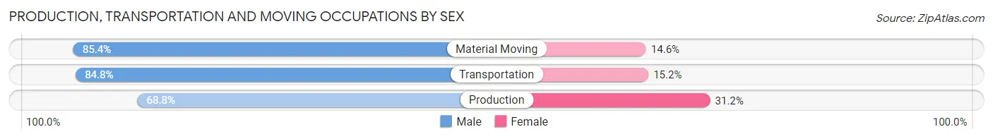 Production, Transportation and Moving Occupations by Sex in Hackensack