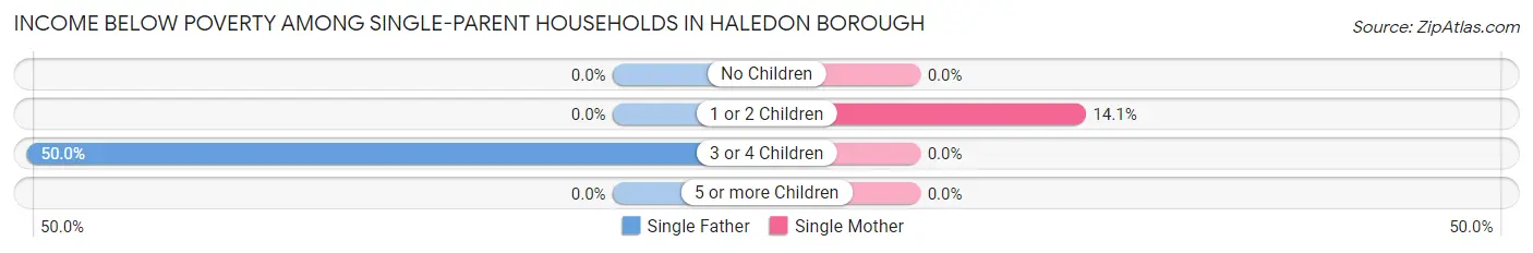 Income Below Poverty Among Single-Parent Households in Haledon borough