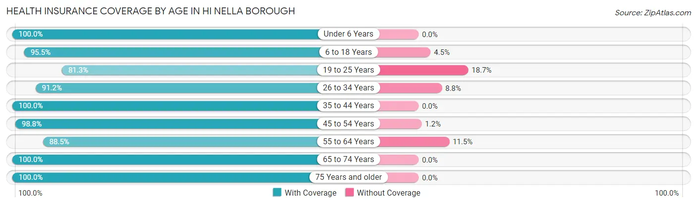 Health Insurance Coverage by Age in Hi Nella borough
