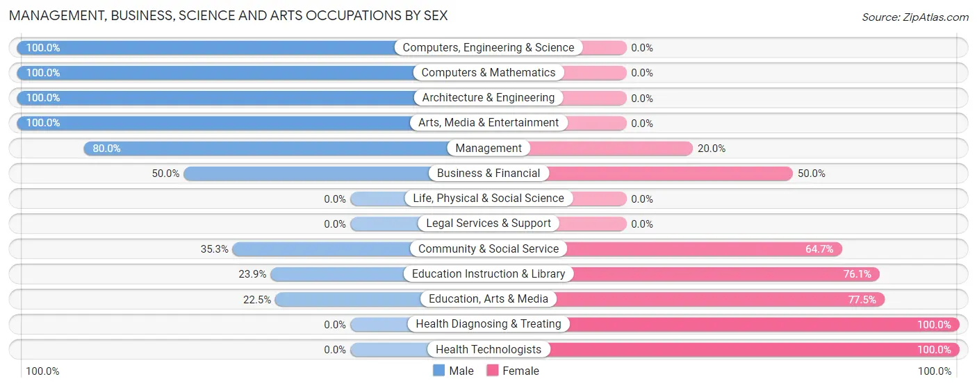 Management, Business, Science and Arts Occupations by Sex in Holiday City South