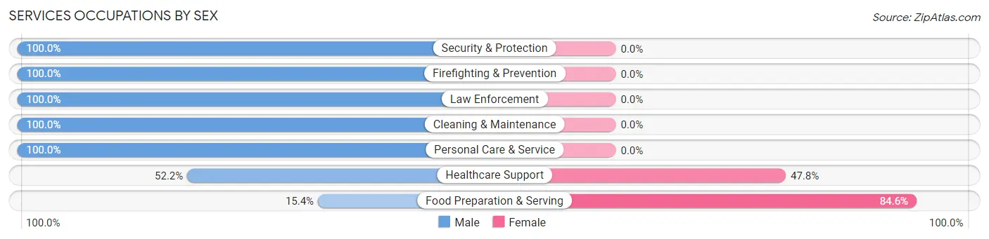 Services Occupations by Sex in Island Heights borough