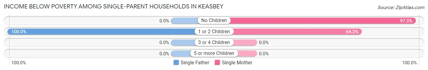 Income Below Poverty Among Single-Parent Households in Keasbey