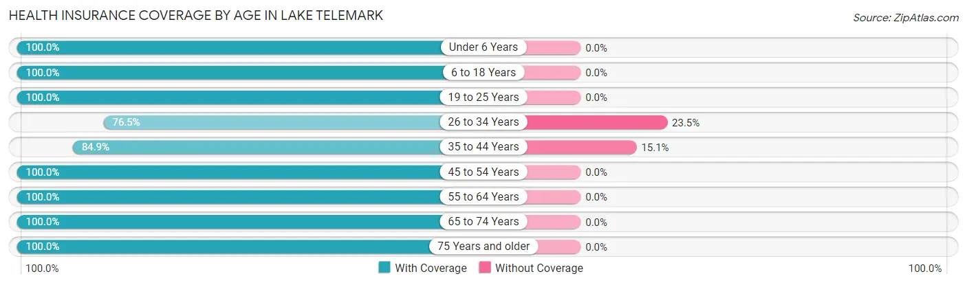 Health Insurance Coverage by Age in Lake Telemark