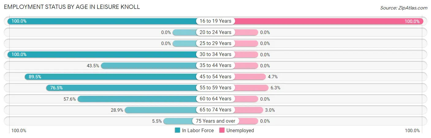Employment Status by Age in Leisure Knoll