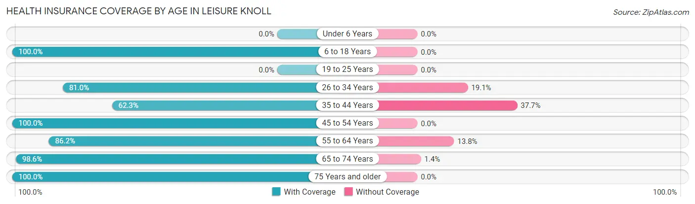 Health Insurance Coverage by Age in Leisure Knoll