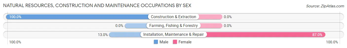 Natural Resources, Construction and Maintenance Occupations by Sex in Leisuretowne