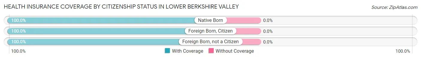 Health Insurance Coverage by Citizenship Status in Lower Berkshire Valley