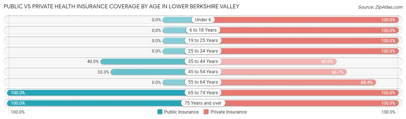 Public vs Private Health Insurance Coverage by Age in Lower Berkshire Valley