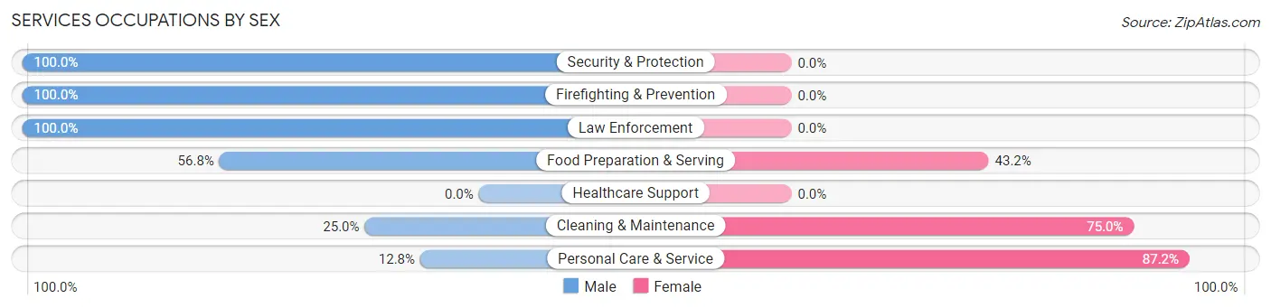 Services Occupations by Sex in Manasquan borough