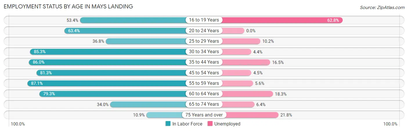 Employment Status by Age in Mays Landing